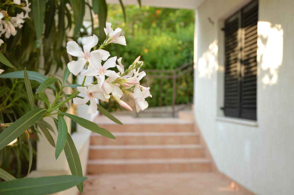 Holiday House Maja Podglavica エクステリア 写真